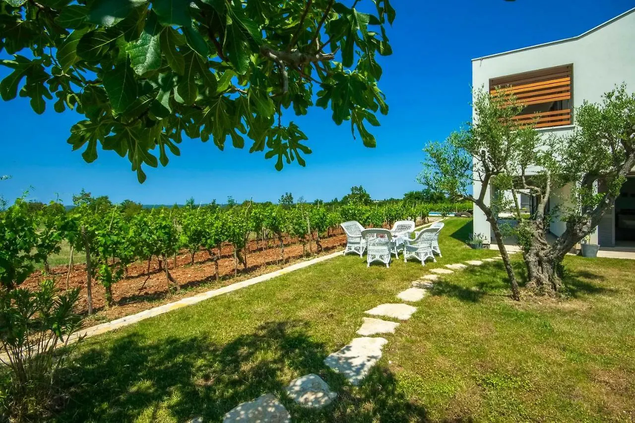 Villa Bianca Svetvinčenat